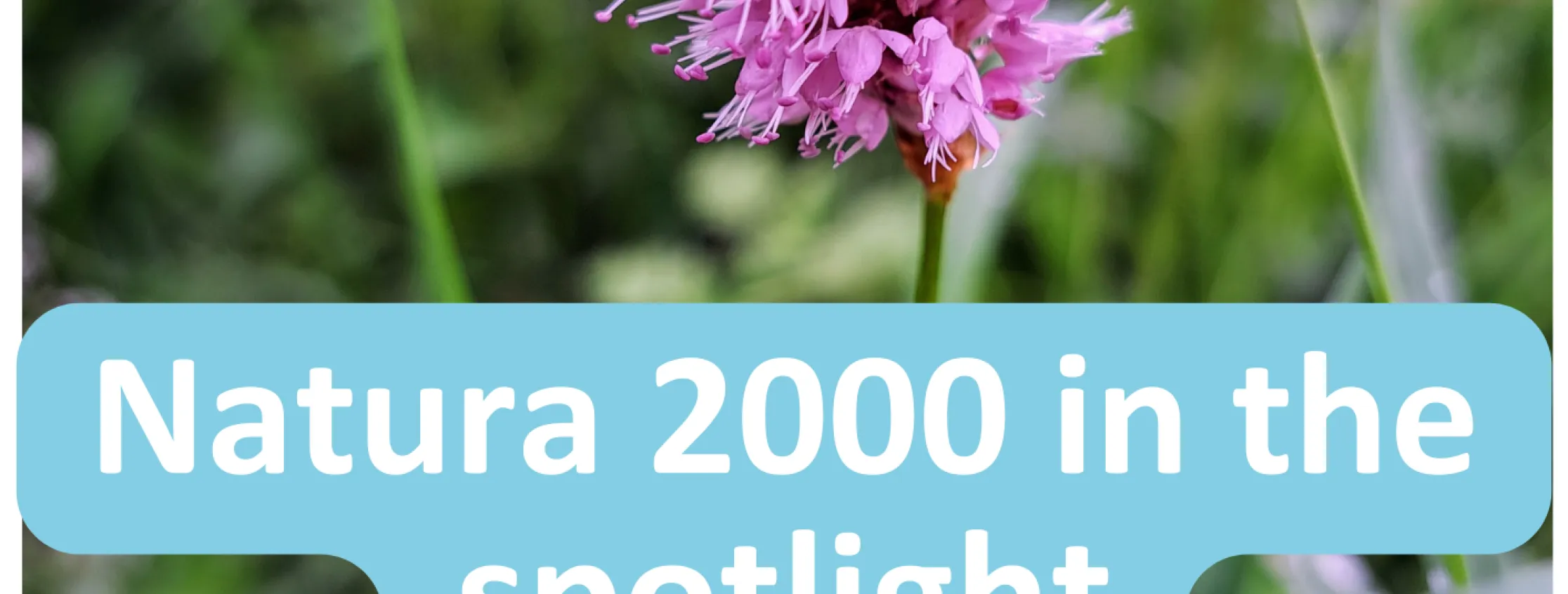 Natura2000Spotlight