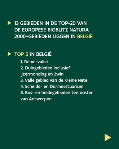 BW2025