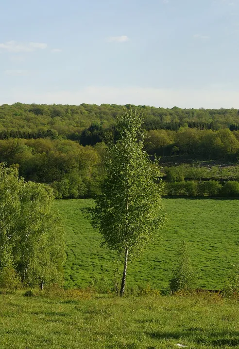 calestienne