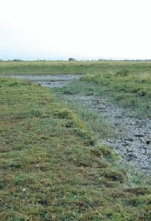uitkerksepolder