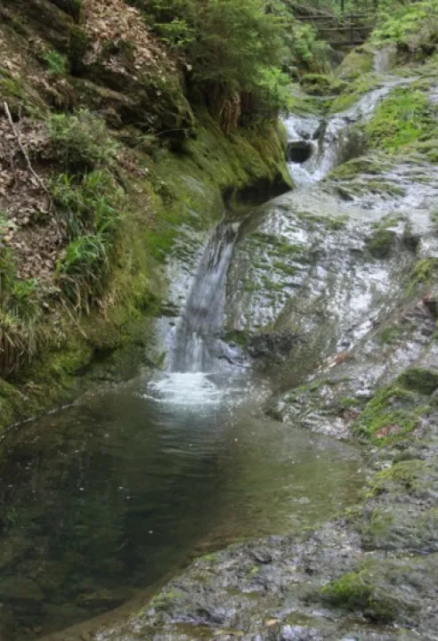 scheloupe