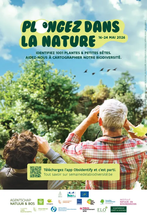 affiche 2026 fr